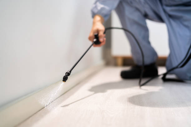 Licensed Cockroach Control service in Middletown, VA - Nex Pest Control